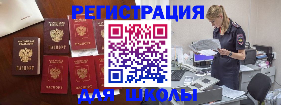 где прописаться в Ельне