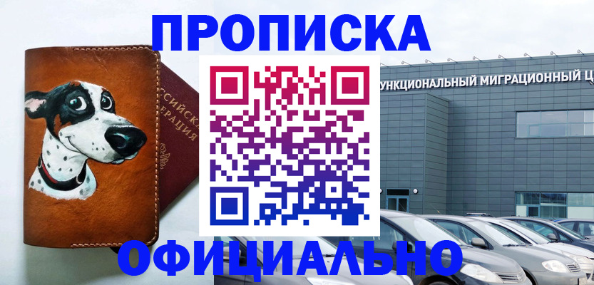 временная прописка в Ельне